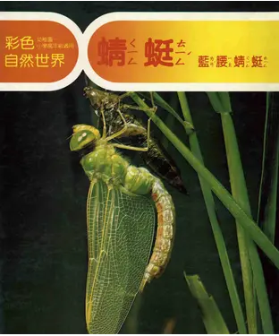 書封 彩色自然世界：蜻蜓〈藍腰蜻蜓〉